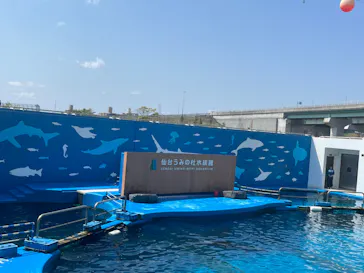 仙台うみの杜水族館に投稿された画像（2024/4/13）