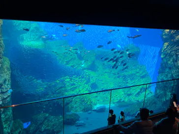 仙台うみの杜水族館に投稿された画像（2024/4/13）