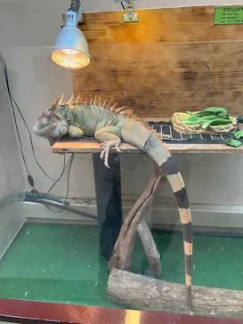 仙台うみの杜水族館に投稿された画像（2024/4/13）