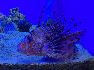 仙台うみの杜水族館に投稿された画像（2024/4/13）