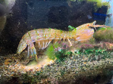 仙台うみの杜水族館に投稿された画像（2024/4/13）