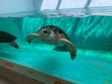 仙台うみの杜水族館に投稿された画像（2024/4/13）