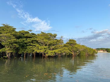 石垣島 ADVENTURE PiPi（イシガキジマアドベンチャーピピ）に投稿された画像（2024/4/13）