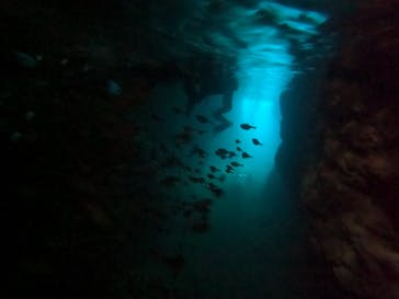 武藤潜水に投稿された画像（2024/4/13）