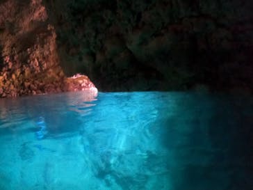 武藤潜水に投稿された画像（2024/4/13）