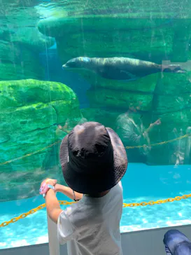 天王寺動物園に投稿された画像（2024/4/13）