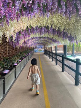 東京サマーランドに投稿された画像（2024/4/13）