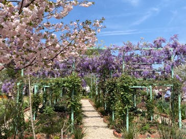 浜名湖花博2024に投稿された画像（2024/4/13）