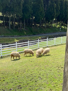 神崎農村公園ヨーデルの森に投稿された画像（2024/4/13）