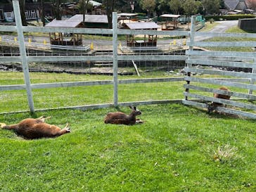 神崎農村公園ヨーデルの森に投稿された画像（2024/4/13）