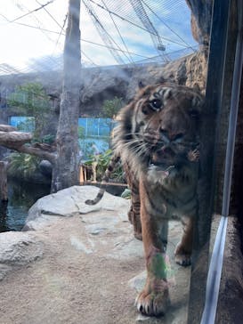 神戸どうぶつ王国に投稿された画像（2024/4/13）