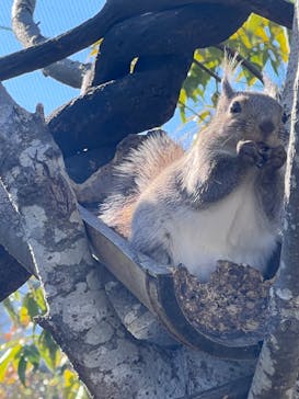 神戸どうぶつ王国に投稿された画像（2024/4/13）