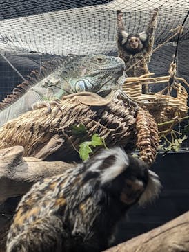 カワスイ 川崎⽔族館に投稿された画像（2024/4/13）