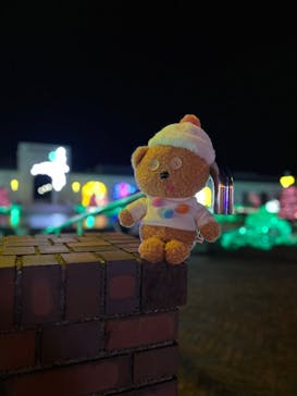 神戸イルミナージュに投稿された画像（2024/4/13）