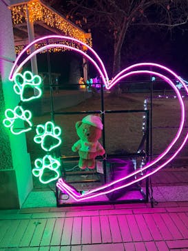 神戸イルミナージュに投稿された画像（2024/4/13）