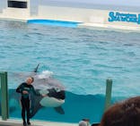 鴨川シーワールドに投稿された画像（2024/4/13）