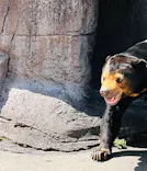 天王寺動物園に投稿された画像（2024/4/13）