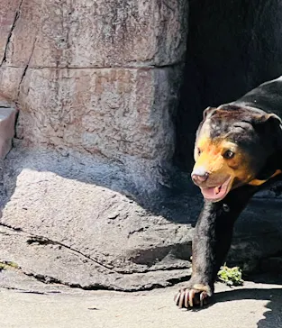 天王寺動物園に投稿された画像（2024/4/13）
