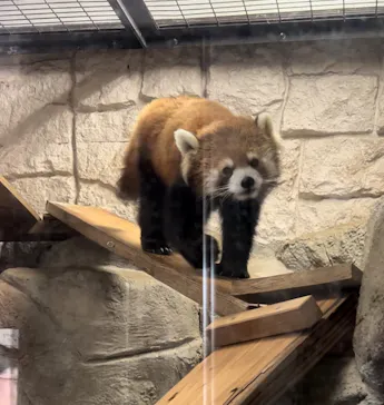天王寺動物園に投稿された画像（2024/4/13）