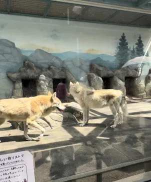 天王寺動物園に投稿された画像（2024/4/13）