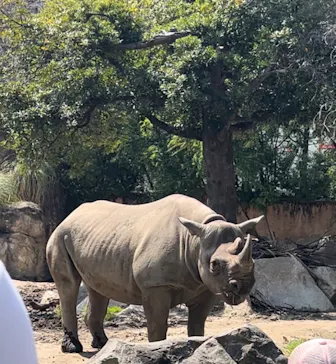 天王寺動物園に投稿された画像（2024/4/13）