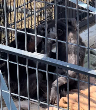 天王寺動物園に投稿された画像（2024/4/13）