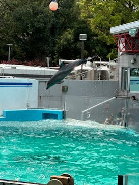 しながわ水族館に投稿された画像（2024/4/13）