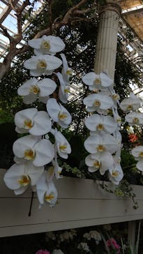 浜名湖花博2024に投稿された画像（2024/4/13）