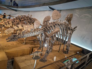 福井県立恐竜博物館に投稿された画像（2024/4/13）