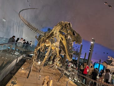 福井県立恐竜博物館に投稿された画像（2024/4/13）