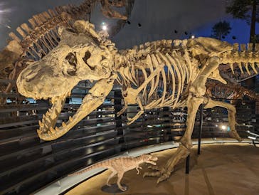 福井県立恐竜博物館に投稿された画像（2024/4/13）