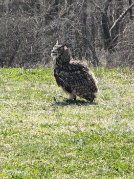 那須どうぶつ王国に投稿された画像（2024/4/13）