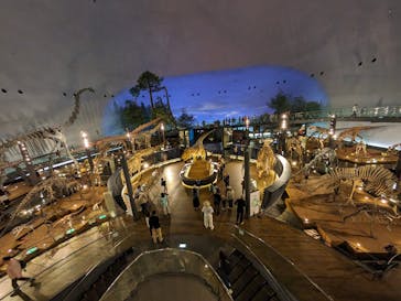 福井県立恐竜博物館に投稿された画像（2024/4/13）