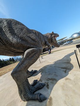 福井県立恐竜博物館に投稿された画像（2024/4/13）