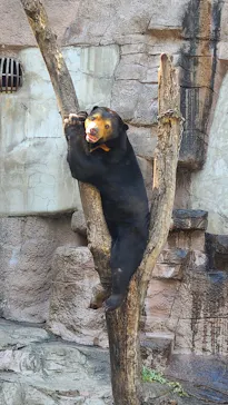 天王寺動物園に投稿された画像（2024/4/13）