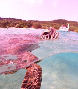 宮古島マリンショップSmileyに投稿された画像（2024/4/12）