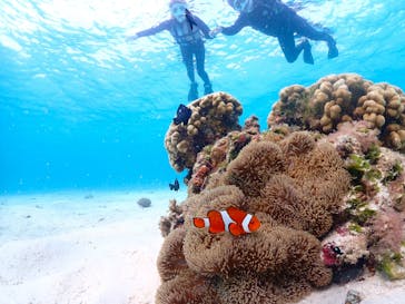 宮古島マリンショップSmileyに投稿された画像（2024/4/12）