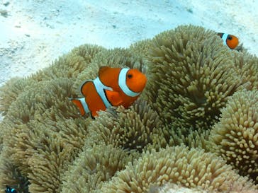 宮古島マリンショップSmileyに投稿された画像（2024/4/12）