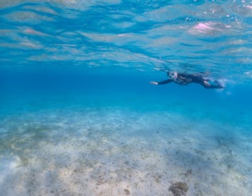 宮古島マリンショップSmileyに投稿された画像（2024/4/12）