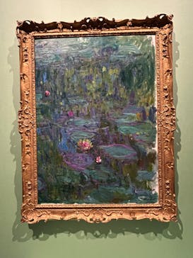 モネ　連作の情景に投稿された画像（2024/4/13）