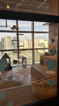 カワスイ 川崎⽔族館に投稿された画像（2024/4/13）