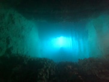 武藤潜水に投稿された画像（2024/4/13）