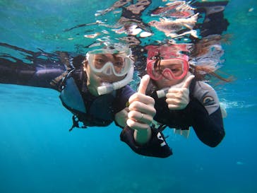 武藤潜水に投稿された画像（2024/4/13）