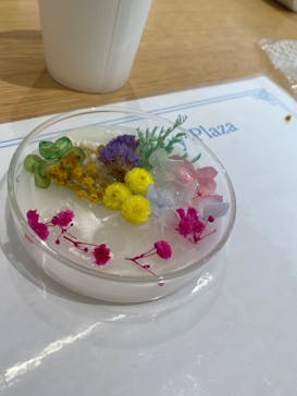 Sansho Beauty Plazaに投稿された画像（2024/4/13）