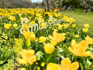 浜名湖花博2024に投稿された画像（2024/4/13）
