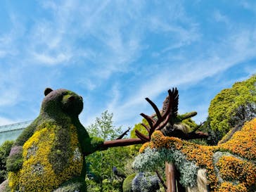 浜名湖花博2024に投稿された画像（2024/4/13）