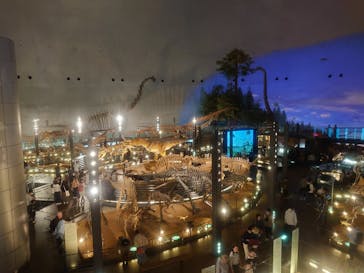 福井県立恐竜博物館に投稿された画像（2024/4/13）