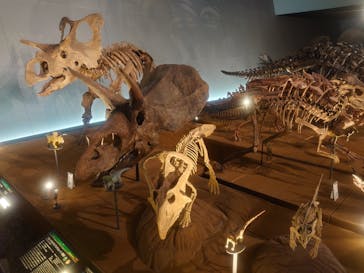 福井県立恐竜博物館に投稿された画像（2024/4/13）