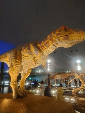 福井県立恐竜博物館に投稿された画像（2024/4/13）