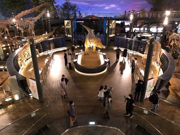 福井県立恐竜博物館に投稿された画像（2024/4/13）